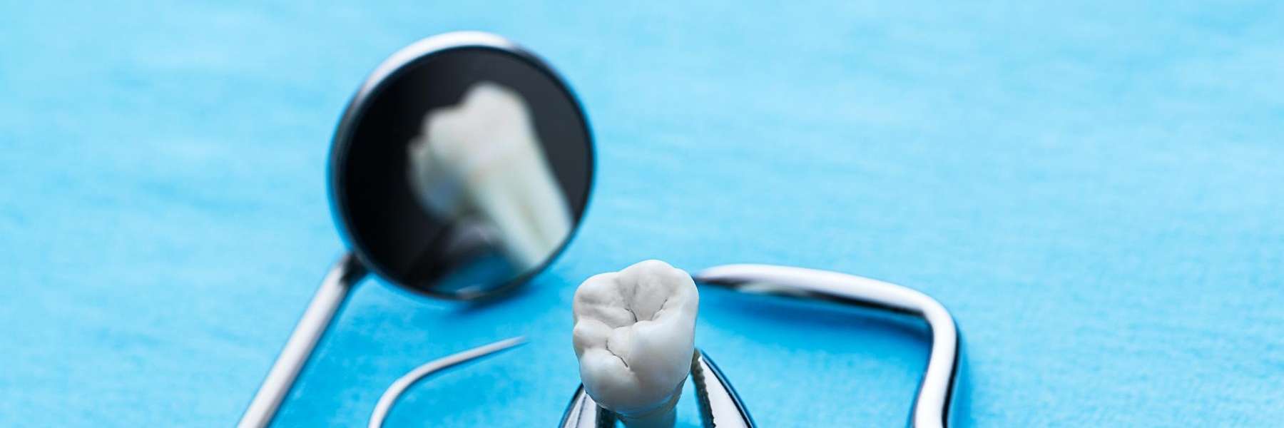 Dental tools in maple ridge in BC